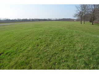 Property photo 33 - 77 +/- Acres Offered in 6 Tracts - Premier Estate Auction